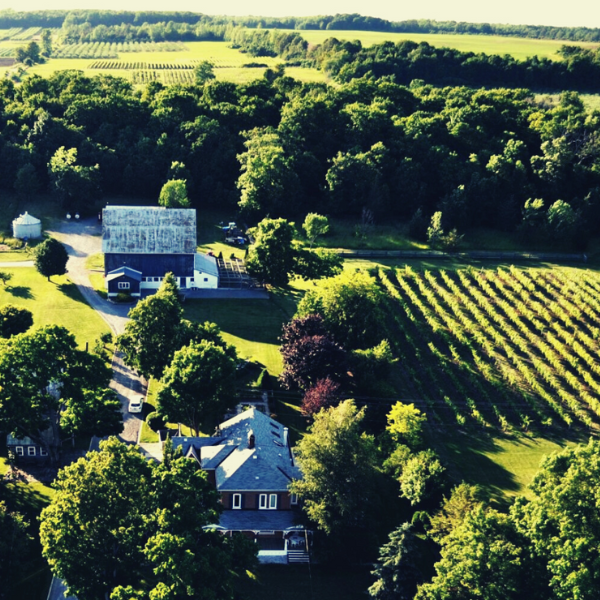 Image of Clafeld Fruit Winery Company Estate